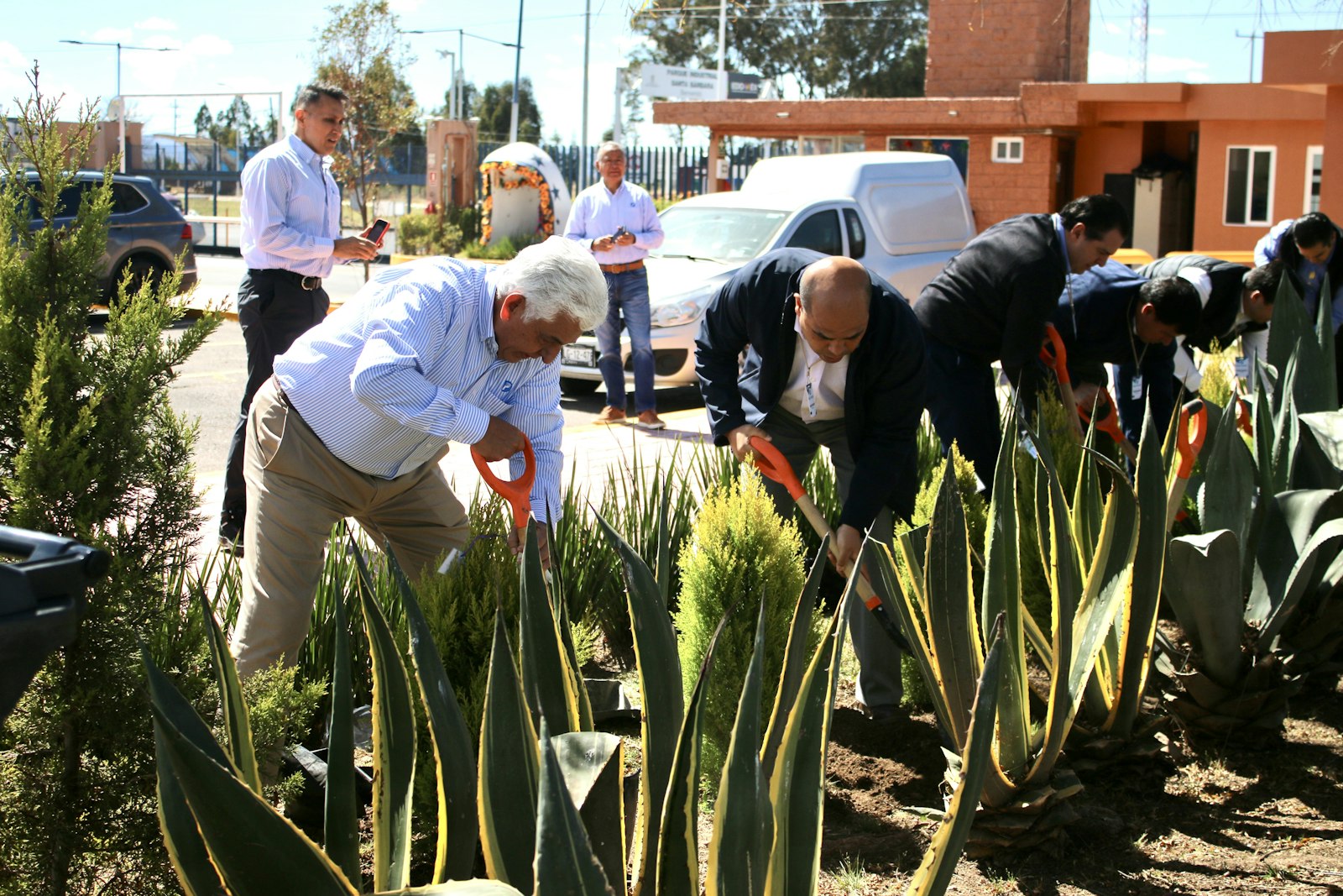 Volunteers working together in a community garden
